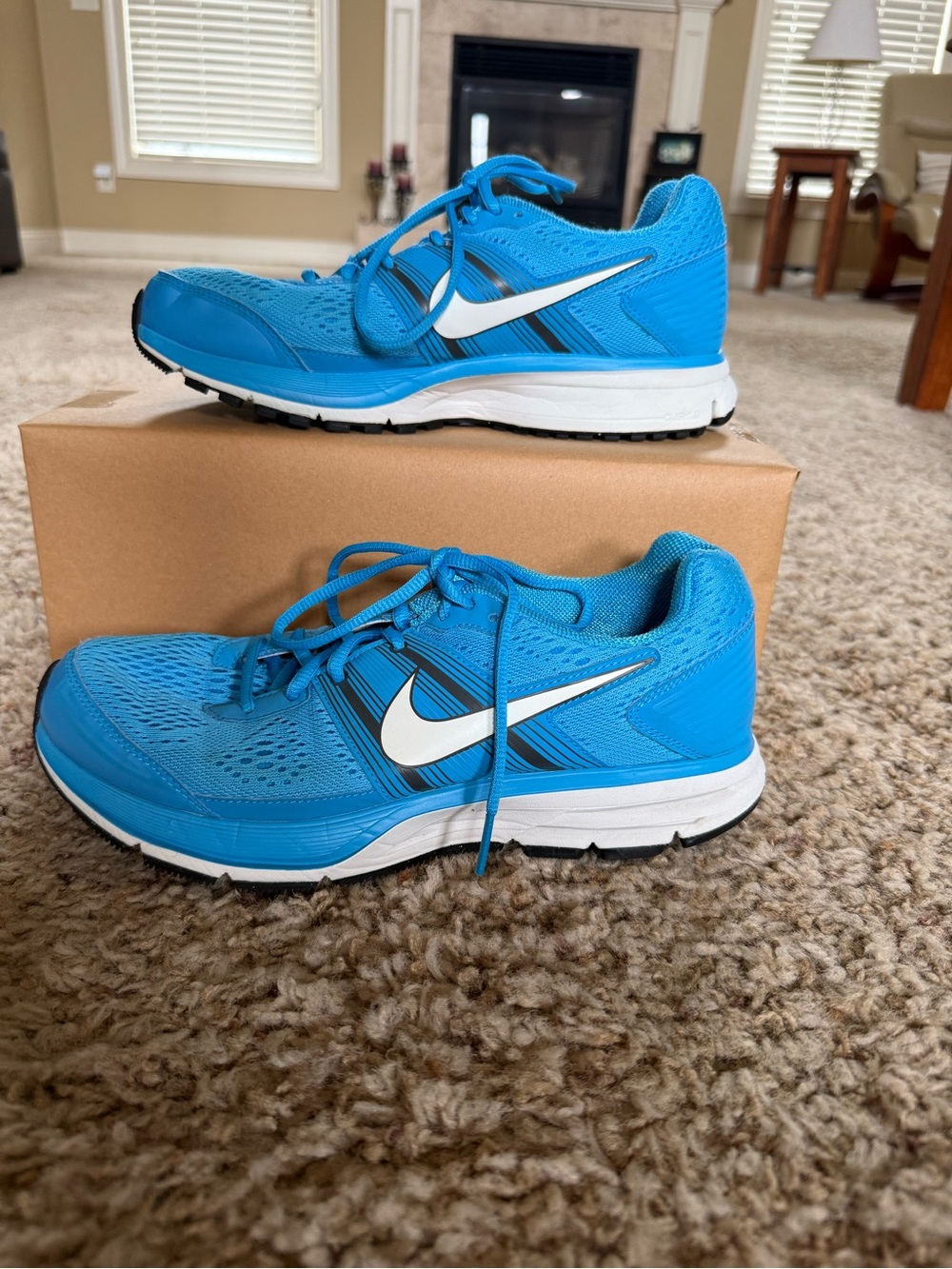 Nike Pegasus 29 Women’s Blue Running Shoes